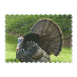 turkey-1.jpg invitation