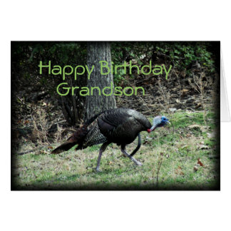 Happy Birthday Turkey Cards - Greeting &amp; Photo Cards | Zazzle