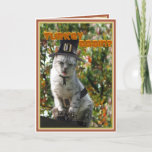 TURKEY AGAIN? Thanksgiving Pilgrim Cat Holiday Card