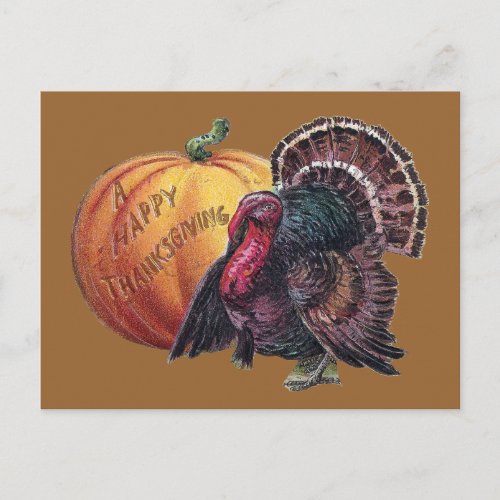 Turkey and Pumpkin Vintage Thanksgiving Holiday Postcard