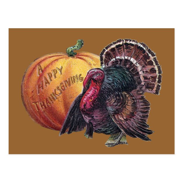 Turkey And Pumpkin Vintage Thanksgiving Postcard