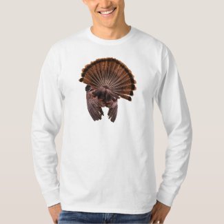 Turkey back view