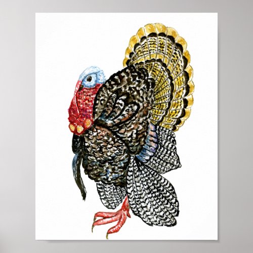 Turkey bird hand drawn illustration poster