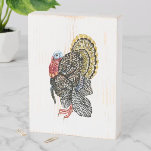 Turkey bird hand drawn illustration wooden box sign