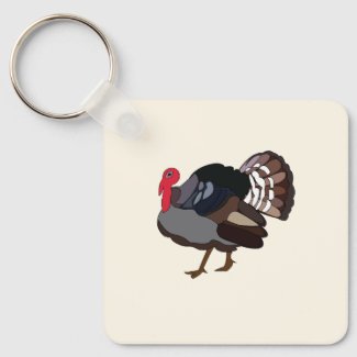 Turkey Bird Turkey