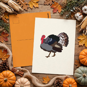 Turkey Bird Turkey Postcard