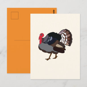 Turkey Bird Turkey Postcard