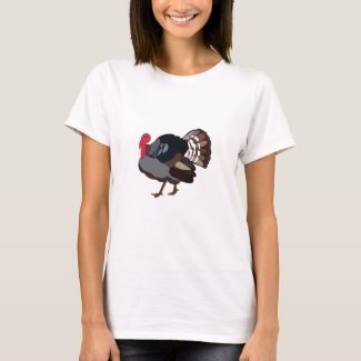Turkey Bird Turkey