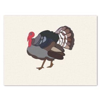 Turkey Bird Turkey
