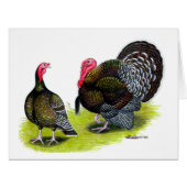 Turkey Broad Breasted Bronze (Front Horizontal)