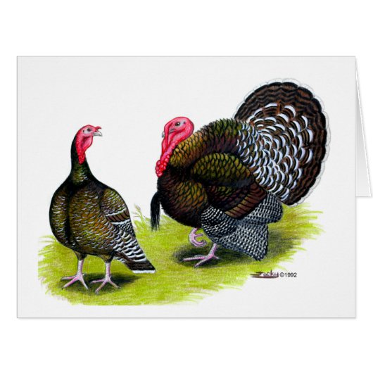 Turkey Broad Breasted Bronze (Front Horizontal)