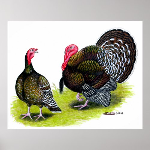 Turkey Broad Breasted Bronze Poster