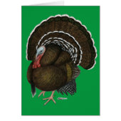 Turkey Bronze Tom (Front)