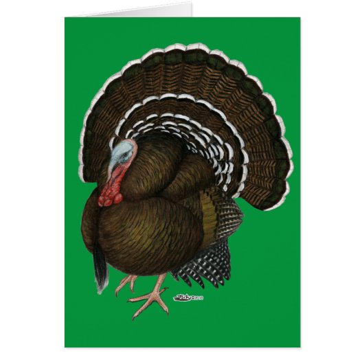 Turkey Bronze Tom (Front)