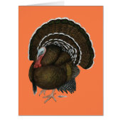 Turkey Bronze Tom (Front)