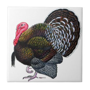 Turkey: Bronze Tom Ceramic Tile
