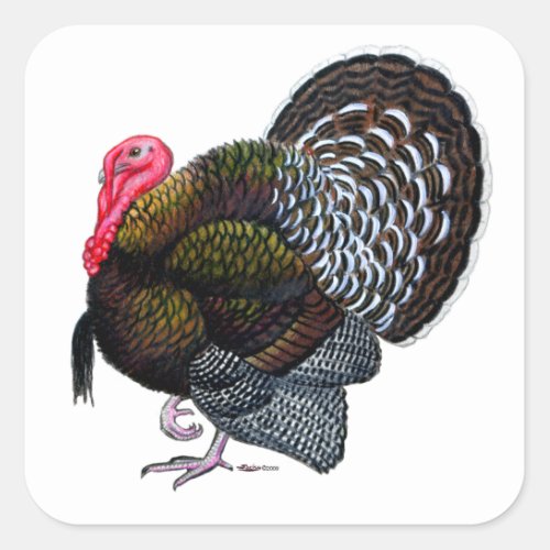 Turkey  Bronze Tom Square Sticker