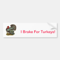 Turkey Bumper Sticker