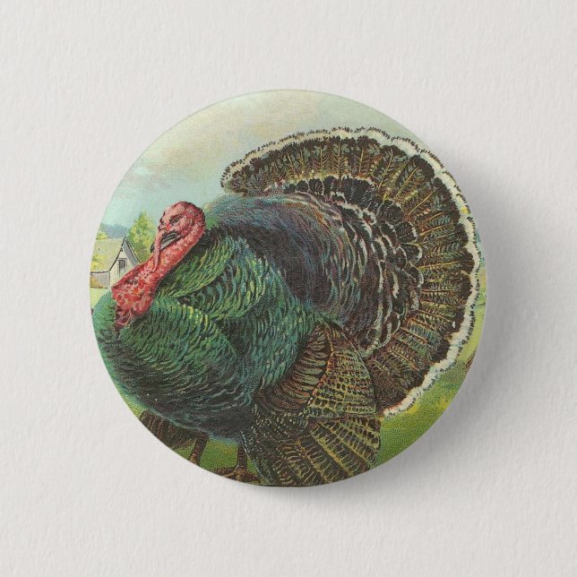 Turkey Button (Front)