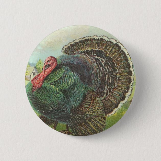 little red button on turkey little red button on turkey