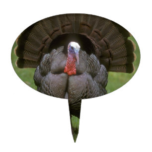 Turkey Cake Topper