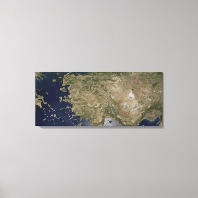 Turkey Canvas Print (Front)