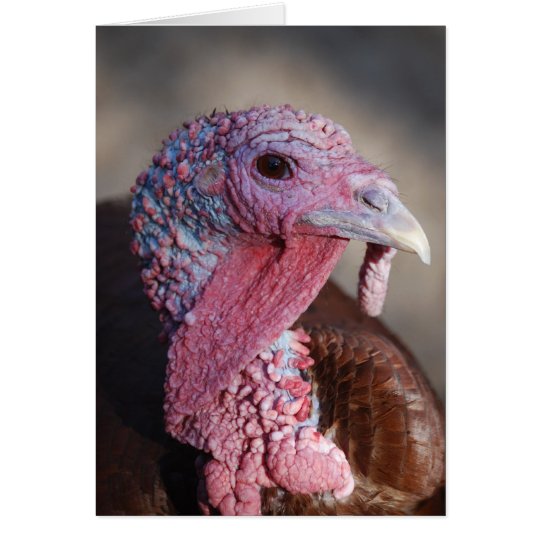 Turkey Card