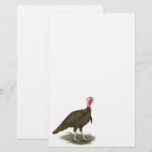 Turkey Chocolate Tom (Front/Back)