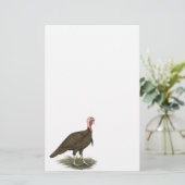 Turkey Chocolate Tom (Standing Front)