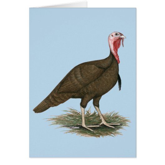 Turkey Chocolate Tom Cards (Front)