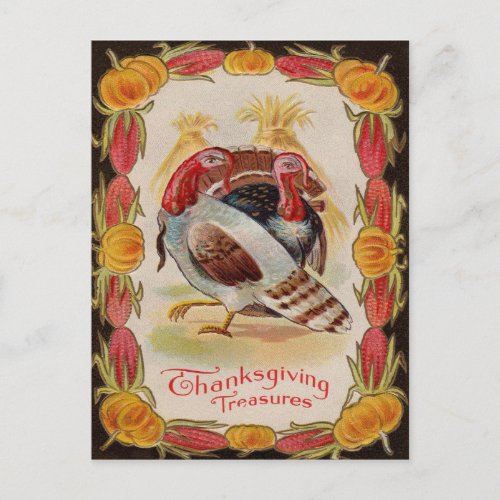 Turkey Corn Shock Stalk Pumpkin Indian Corn Postcard