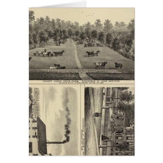 Turkey Creek Farm, Nebraska Cards (Front)
