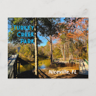 Turkey Creek Niceville Florida Postcard