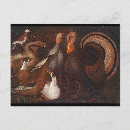 Turkey Ducks Pigeon Thanksgiving Postcard