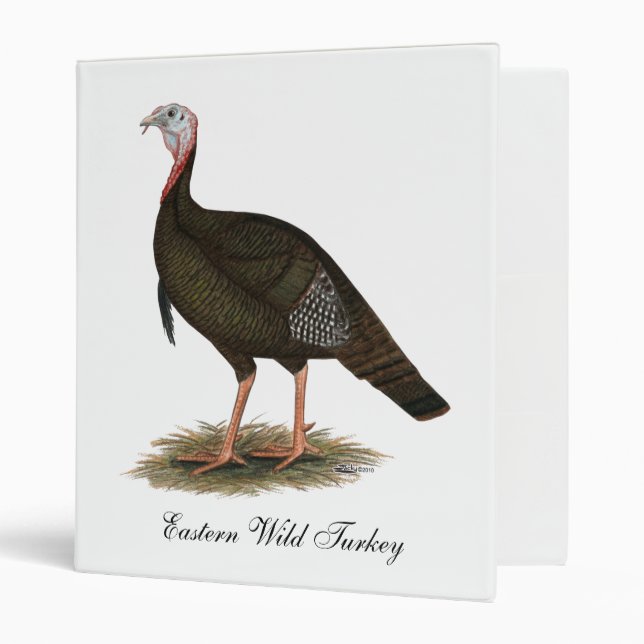 Turkey:  Eastern Wild Tom 3 Ring Binder (Front/Inside)
