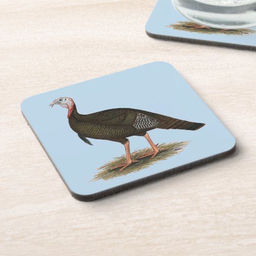 Turkey  Eastern Wild Tom Beverage Coaster