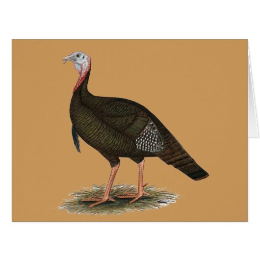 Turkey: Eastern Wild Tom Cards (Front Horizontal)