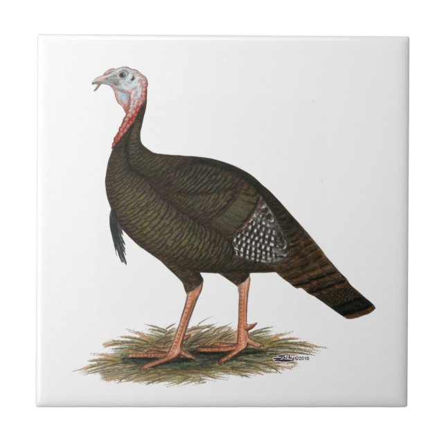 Turkey:  Eastern Wild Tom Ceramic Tile (Front)