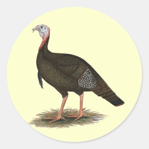 Turkey  Eastern Wild Tom Classic Round Sticker