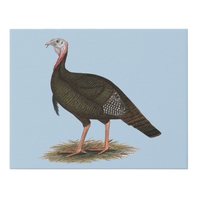 Turkey:  Eastern Wild Tom Faux Canvas Print (Front)