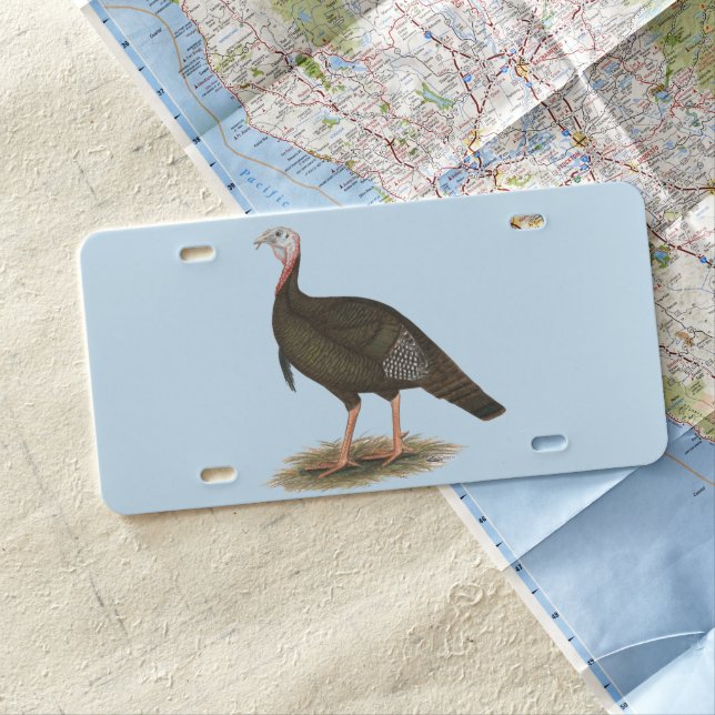 Turkey:  Eastern Wild Tom License Plate (In Situ)