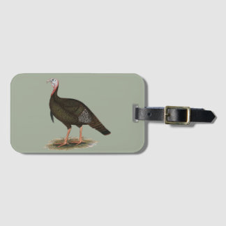 Turkey: Eastern Wild Tom Luggage Tag
