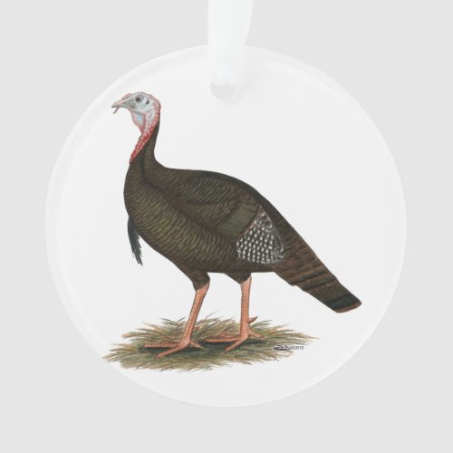 Turkey  Eastern Wild Tom Ornament