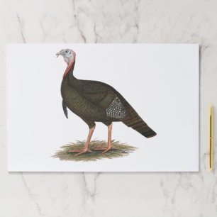 Turkey: Eastern Wild Tom Paper Pad