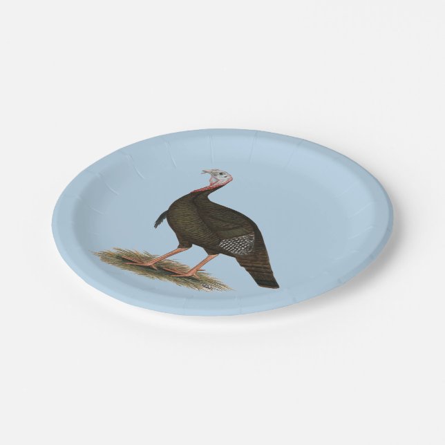 Turkey:  Eastern Wild Tom Paper Plates (Angled)