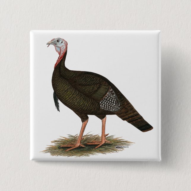 Turkey:  Eastern Wild Tom Pinback Button (Front)
