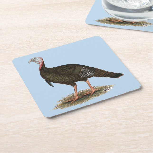 Turkey:  Eastern Wild Tom Square Paper Coaster (Angled)