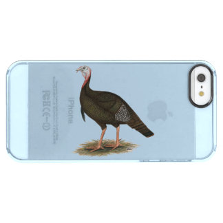 Turkey:  Eastern Wild Tom Clear iPhone SE/5/5s Case