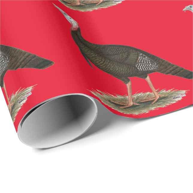 Turkey:  Eastern Wild Tom Wrapping Paper (Roll Corner)