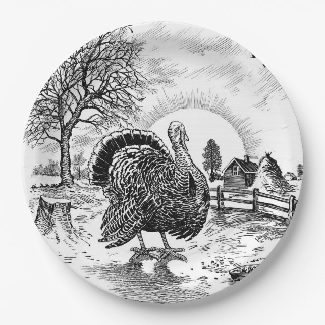 Turkey Farm Drawing Paper Plates (Front)